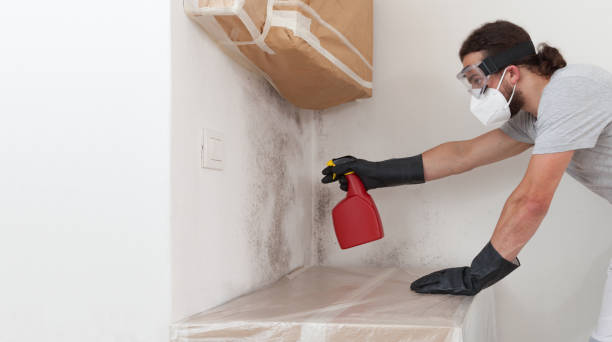 Attic Mold Remediation treatment on roof deck in Akron